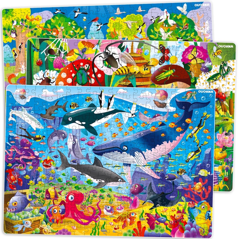 Jigsaw Puzzles: Matching Challenge