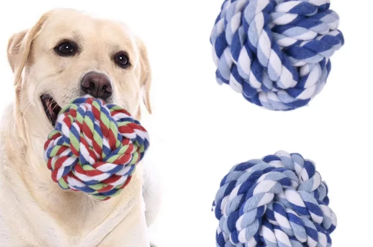 The Ultimate Guide to Dog Ball Toys