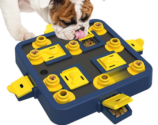 dog puzzle toys